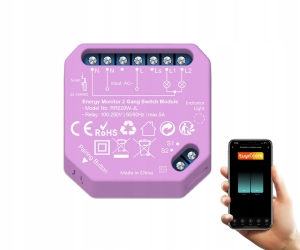 Podwójny przekaźnik z pomiarem prądu 10 A WiFi Tuya