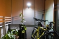 Solarna lampa halogenowa reflektor LED 9 COB czujnik zmierzchu i ruchu 
