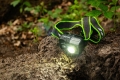 Latarka czołowa LED zoom akumulatorowa lekka czołówka USB-C 800 lm Pro Vayox