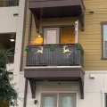 Mata maskująca na balkon 100 x 700 cm osłona balkonowa mata siatka cieniująca szara