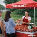 Pawilon namiot ogrodowy handlowy targowy cateringowy ekspresowy na truskawki 3 x 3 m